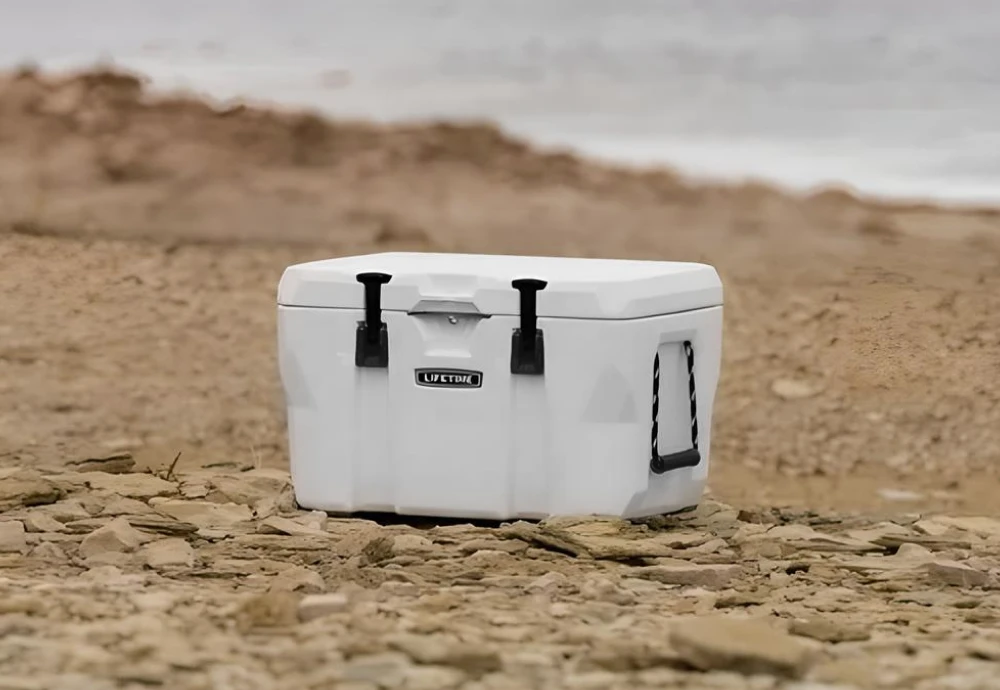 car ice chest cooler