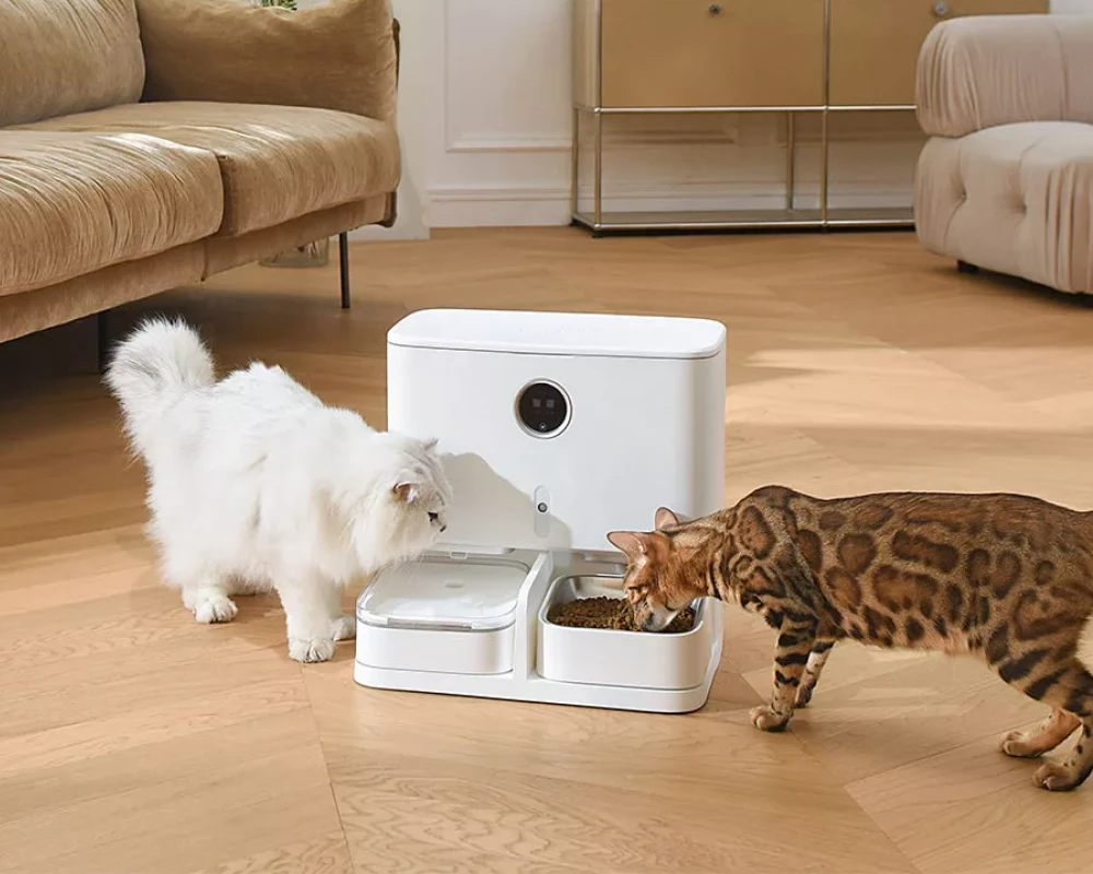 pet food dispenser automatic
