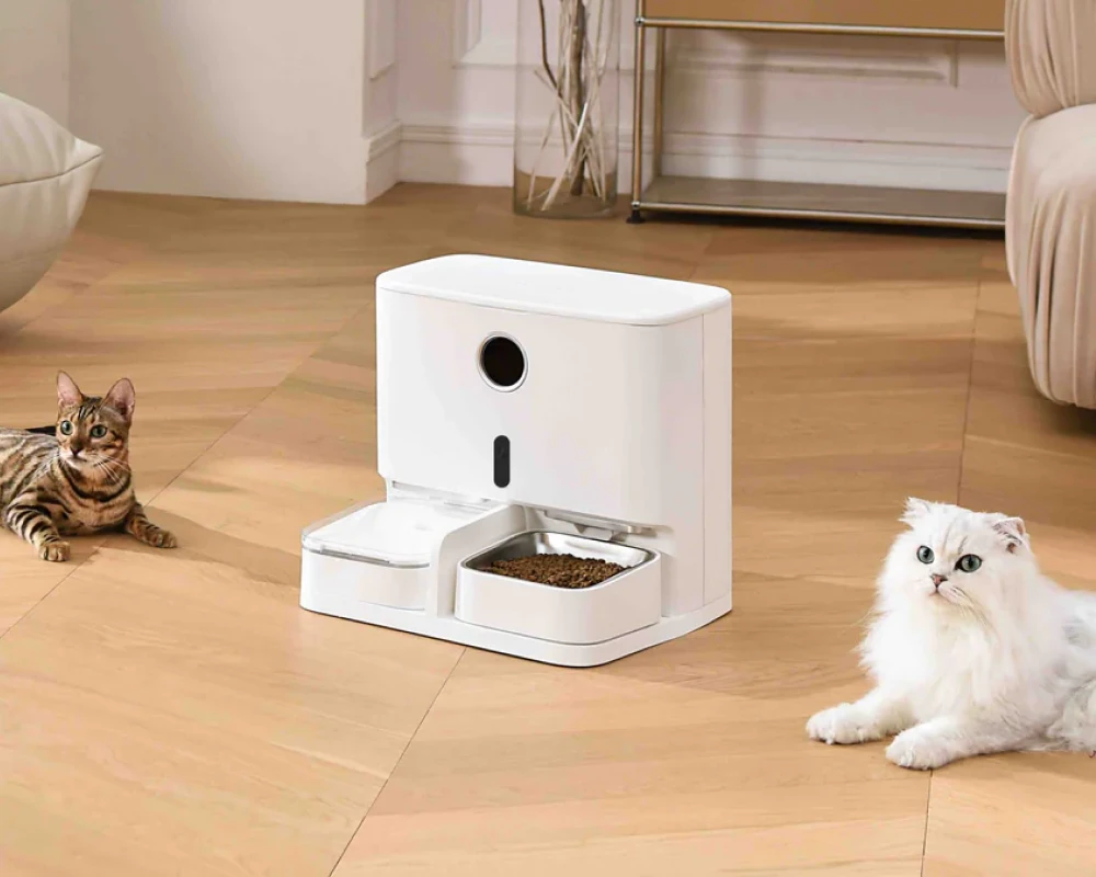 best automatic pet feeder for dogs