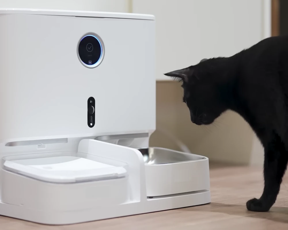 small automatic pet feeder